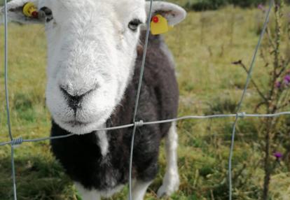 Voyage en Irlande de Claude