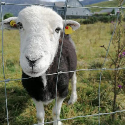 Voyage en Irlande de Claude