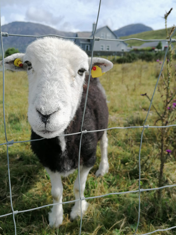 Voyage en Irlande de Claude