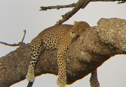 Voyage en Tanzanie de Silvia