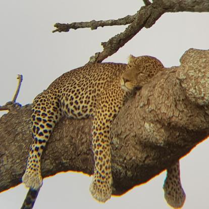 Voyage en Tanzanie de Silvia