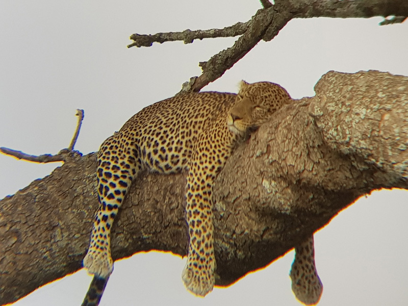 Voyage en Tanzanie de Silvia