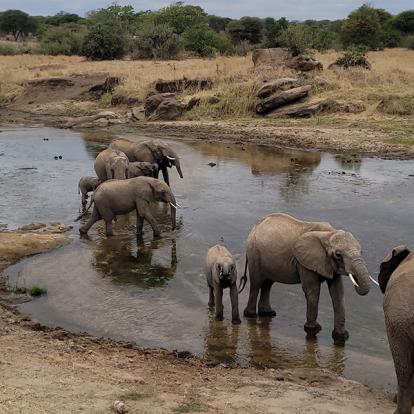 Voyage en Tanzanie de Silvia