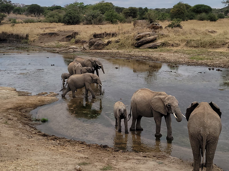 Voyage en Tanzanie de Silvia