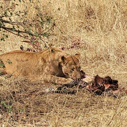 Voyage en Tanzanie de Silvia