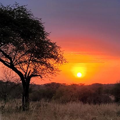 Voyage en Tanzanie de Silvia