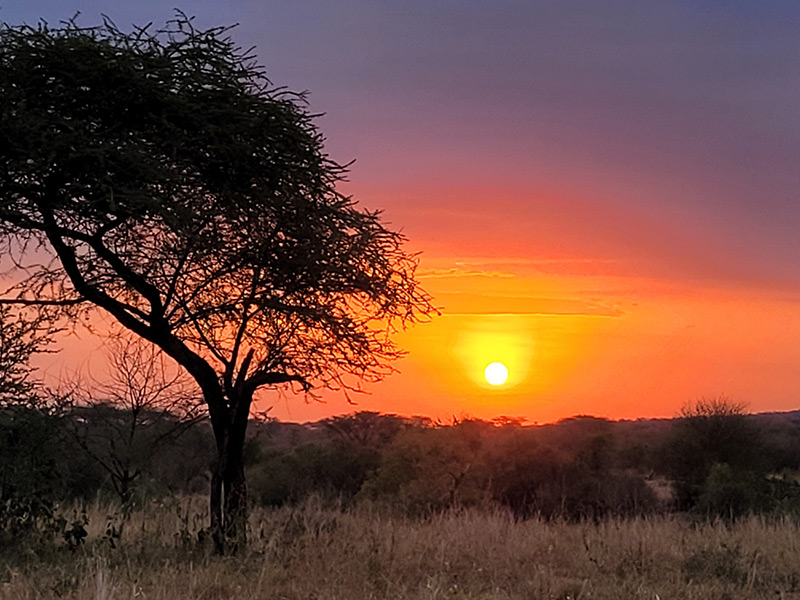 Voyage en Tanzanie de Silvia