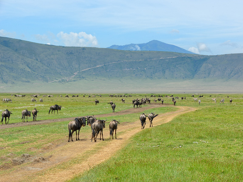 Voyage en Tanzanie de Christelle F.