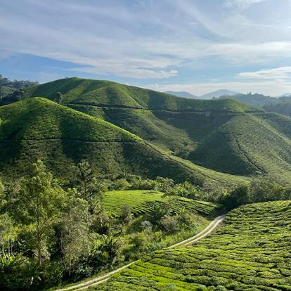 Voyage en Malaisie de Guillaume C.