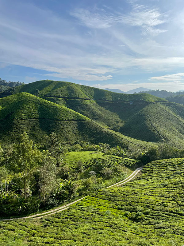 Voyage en Malaisie de Guillaume C.