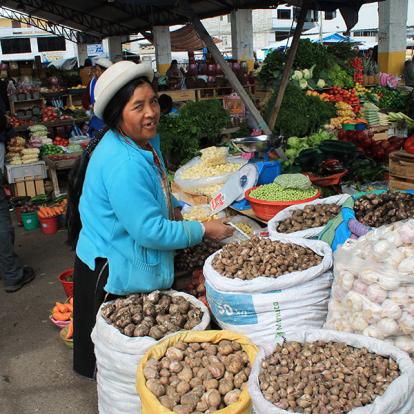Voyage en Equateur de Christine T.