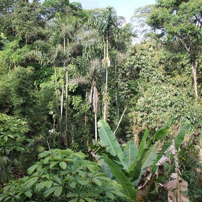 Voyage en Equateur de Christine T.