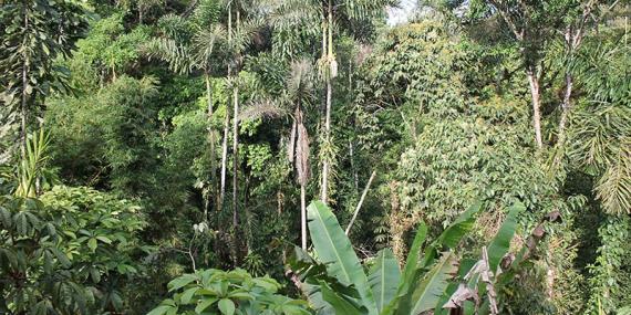 Voyage en Equateur de Christine T.
