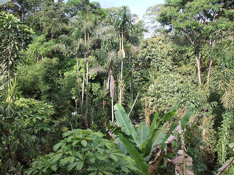 Voyage en Equateur de Christine T.