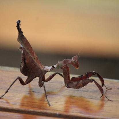Voyage en Equateur de Christine T.