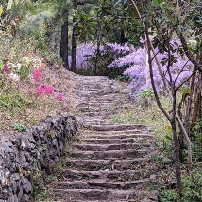 Voyage d'Alain à l'Ile de la Réunion
