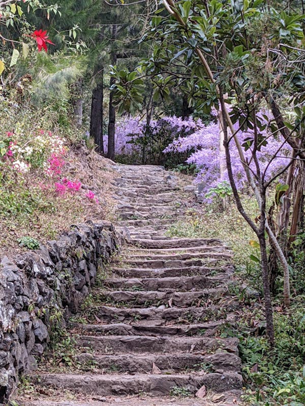 Voyage d'Alain à l'Ile de la Réunion