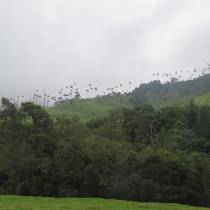 Voyage en Colombie de Mathieu et Elsa
