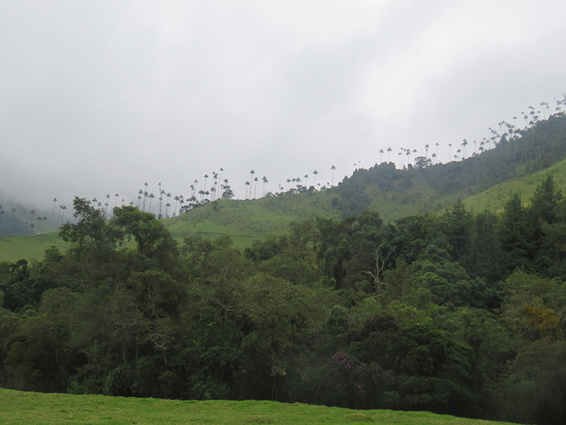 Voyage en Colombie de Mathieu et Elsa