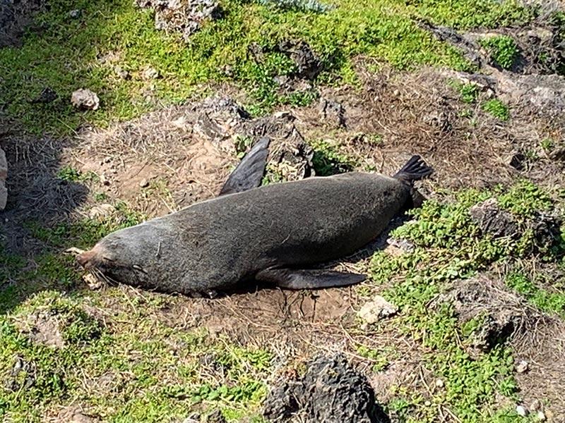 Voyage en Australie de Stéphane M.