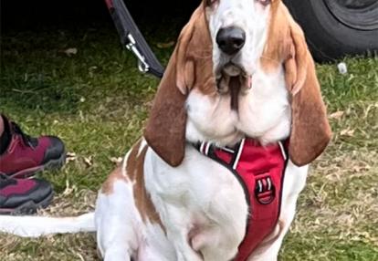 Voyage en Ecosse de Milène M.