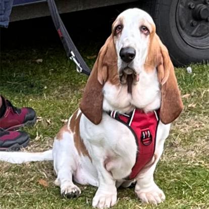 Voyage en Ecosse de Milène M.