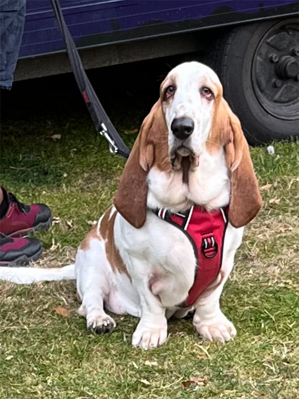 Voyage en Ecosse de Milène M.