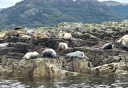 Voyage en Ecosse de Milène M.