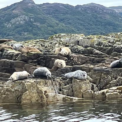 Voyage en Ecosse de Milène M.