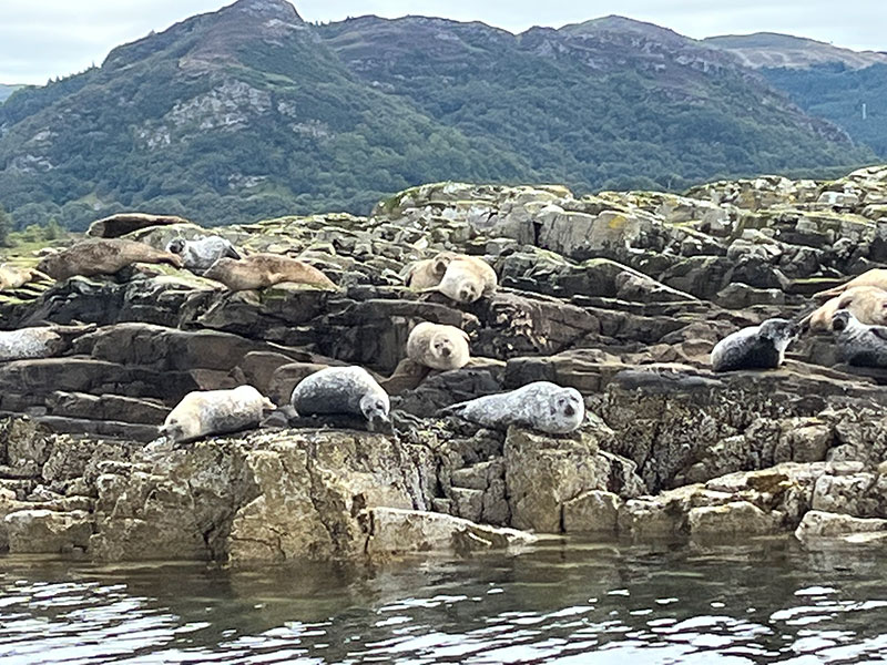 Voyage en Ecosse de Milène M.