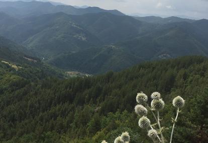 Voyage en Bulgarie de Dominique L.