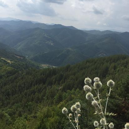 Bulgarie Voyage en Bulgarie de Dominique L.