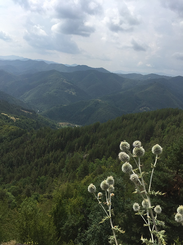 Bulgarie Voyage en Bulgarie de Dominique L.