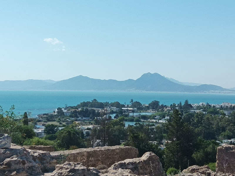 Vue depuis Carthage Voyage en Tunisie de Daniele R.