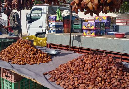 Voyage en Tunisie de Raoul L.