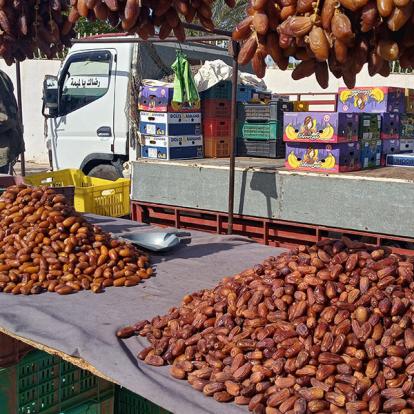 Voyage en Tunisie de Raoul L.