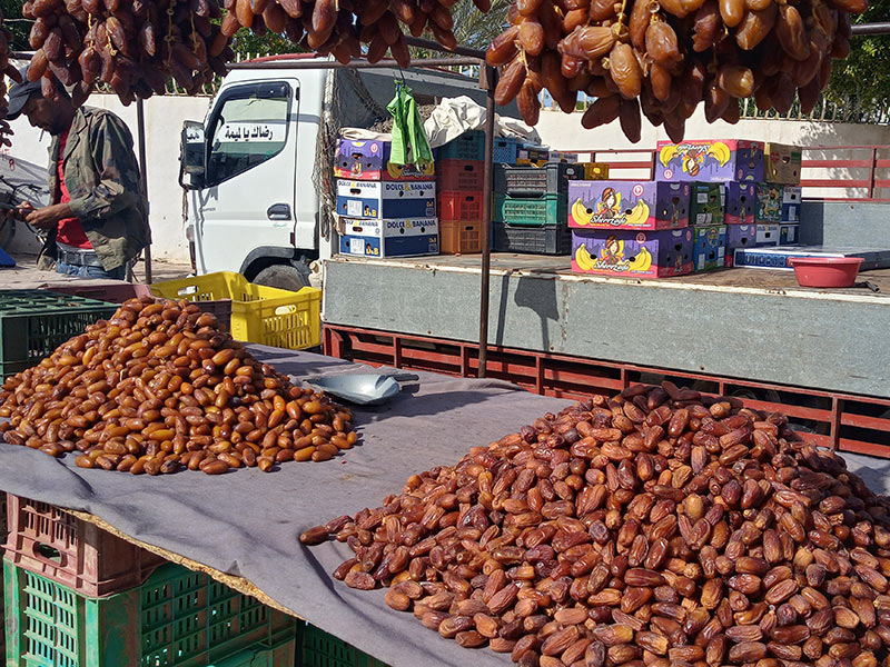 Voyage en Tunisie de Raoul L.