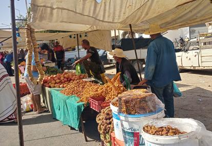 Voyage en Tunisie de Raoul L.