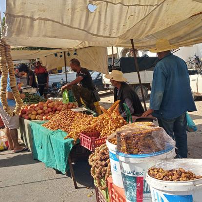 Voyage en Tunisie de Raoul L.