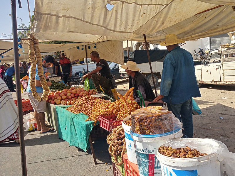 Voyage en Tunisie de Raoul L.