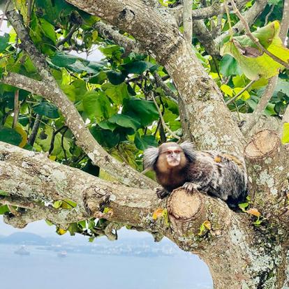 Voyage au Brésil de Michaela et Bruno