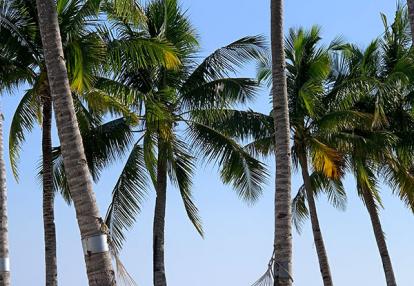 Voyage aux Philippines de Gilles et Anne-Gaëlle Q.