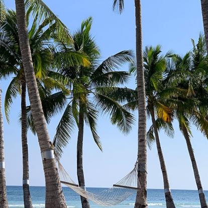 Voyage aux Philippines de Gilles et Anne-Gaëlle Q.
