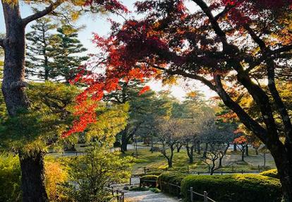 Voyage au Japon d'Angela A.