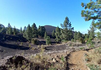 Voyage aux Canaries de Fabrice C.