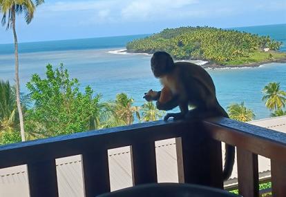 Voyage en Guyane de AM