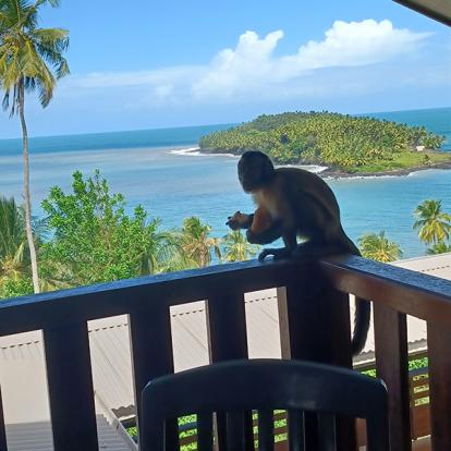 Voyage en Guyane de AM