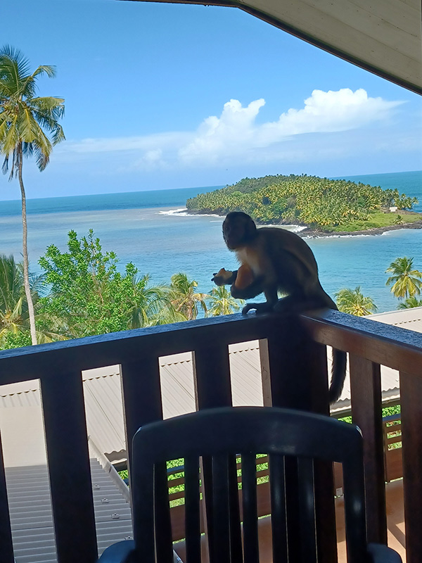 Voyage en Guyane de AM