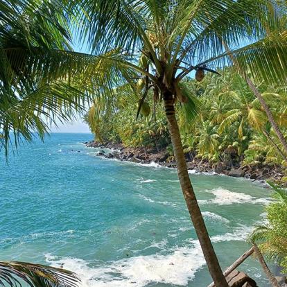 Voyage en Guyane de AM