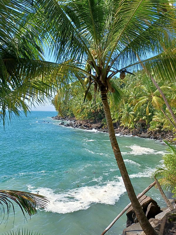 Voyage en Guyane de AM